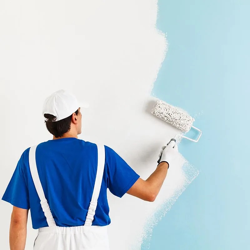 Alaybey iç cephe boyama